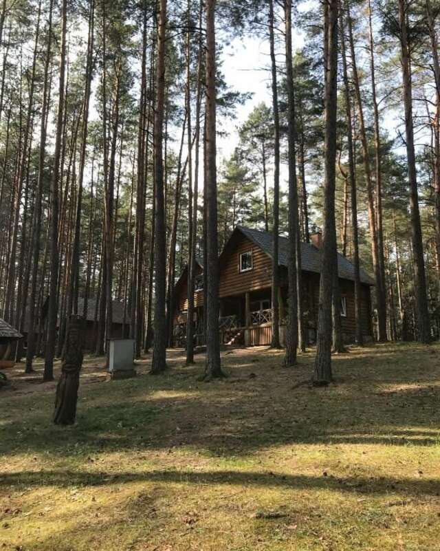 Загородные дома Šaulys Varnėnai-24